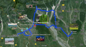 Forest View Homestay